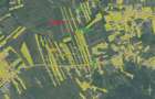 Vand 5000 mp teren agricol extravilan in sat Buc?e?ti, com. Poduri, jud. Bacau - 3