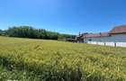 Teren intravilan cu vedere la padure, 2.533 mp, Melinesti, Amarasti - 2