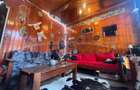VANZARE CASA PARTER | ZONA TINERETULUI - 16