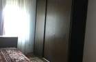 Vila P+E cu teren 2559 mp, vie, garaj, izvor - Borosteni, Gorj - 15