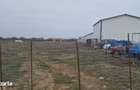 Teren intravilan Giulesti, str.Marin Calciu, 1576mp, 0% comision