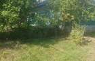Casa batraneasca(50m )+anexe(2200m ) in sat Topile,Pascani - 3