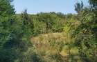 Teren intravilan de 1.470 mp cu padure in spate si priveliste spre vale, la 1h30 de Bucuresti - 3