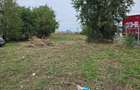 Hala , SC total 2048 MP , P+E, trifazic , teren 2000 mp, zona Borsului
