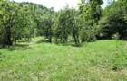 4000 mp. teren intravilan - 3
