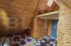 Cabana autentica cu 4565 mp teren, Liniste si Confort, Avram Iancu - 15