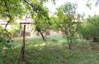Ciuchici, Casa 7 Incaperi, 1151mp Teren, Pret Negociabil, ZERO COMISIO