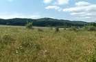 Teren intravilan Targu Neamt- str. baile Oglinzi - 1