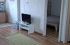 Apartament 1 camera, persoana fizica - 1