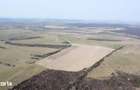 Teren 26.82 ha Ardud | Oportunitate pentru dezvoltare
