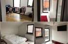 Casa Vladimirescu -Europa ACCEPT PLATA IN RATE DIRECT DE LA PROPRIETAR - 6