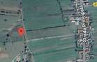 Vand teren extravilan in Vama Buzaului - 8