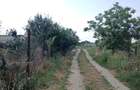 Teren intravilan--500 mp--Draganescu,Giurgiu--23m deschidere--19000 euro--negociabil