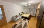 PF - inchiriez apartament cu o camera NICOLINA 1 - contract ANAF - 3