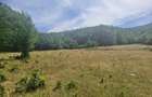 Cabana ?i teren 1600 metri intravilan la munte - 5