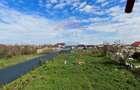 P+1, 100 mp utili, teren 960 mp, Sarbatoare la 14 km de Craiova - 10