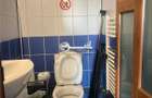 Apartament 3 camere Hala Centrala - 550 EURO - 15