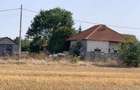 teren intravilan, Poiana, Ovidiu- Constanta - 1