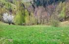 teren intravilan in zona Magura Bran - 24