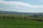 Vand pamant intravilan - 3