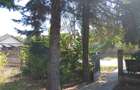 Casa cu teren mare in Bolintin Deal - 2