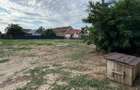 Teren de Vanzare intravilan Cu Nr de casa In Peciu Nou - 1