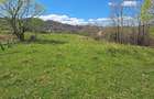 teren intabulat extravilan 3600m - 6