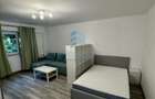 Garsoniera Piata Muncii 8 min Metrou Cat friendly - 2