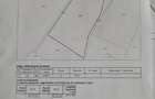 Teren viticol intravilan extravilan 3,5 ha - 5