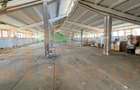 Hală industrială de vânzare în Ovidiu – 1.875 mp hală, teren 3.000 mp