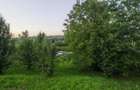 Teren 1.342 mp, Str. Pietrisului, Poiana Campina (Prahova) - 3