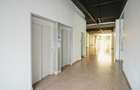 Birouri de Inchiriat 20-300 mp | Business Hub | Bacau - 5