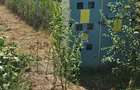 Teren 8000 mp intravilan rezidential Adunatii Copaceni (Mogossesti ) - Mogosesti (Giurgiu)