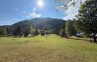 Teren intravilan 4.285 mp, Grinties-Neamt, zona Ceahlau, 9 /mp - 3
