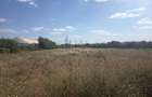LOT COMASAT 31.136 MP - POPESTI-LEORDENI - PUG 2024 - ZONA L1
