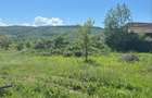 Teren de vanzare cu intravilan - 5