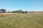 Teren intravilan de vanzare-1800 m ,Sauceni?a jud Boto?ani. - 1