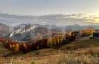 Teren 5200 mp cu view spectaculos Ponor | ideal turistic | langa Belve