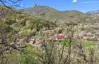 Casa si teren intravilan 3426mp la Poiana Galdei - 6