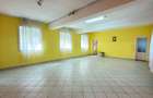 Oportunitate Inchiriere 2 Clădiri cu teren Zonă Centrală – Carei - 13