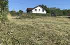 Teren 665 mp + casuta rustica din lemn | Pozitie rara | Acces din 3 laturi | Tautii Magheraus | 50 000 Nenegociabil | - 8