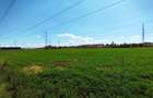 Terenuri intravilane 4550 MP, deschidere la stradă 32 m - 5