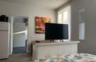 Oferim inspre inchiriere studio in Ghimbav pet friendly - 2