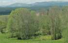 Teren de 45000 mp, în Ortoaia - 2