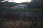 Vand casa loc Cazanesti Verguleasa.Olt - 4