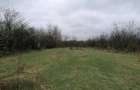 Teren intravilan 2400mp sat Gavanel com Dumbravesti Prahova. - 2