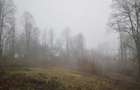 Teren intravilan 3.186 mp Sat Varmaga, Certeju de Sus, Hunedoara lumini? la poalele muntelui - 5