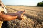 Teren agricol de vanzare - 20.000mp - 1