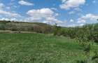 Vand teren intravilan - 3