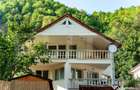 Casa de vacan?a in inima naturii Rame?, Valea Man - 15